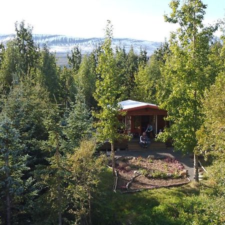 Bakkakot 1 - Cozy Cabins In The Woods Akureyri Kültér fotó