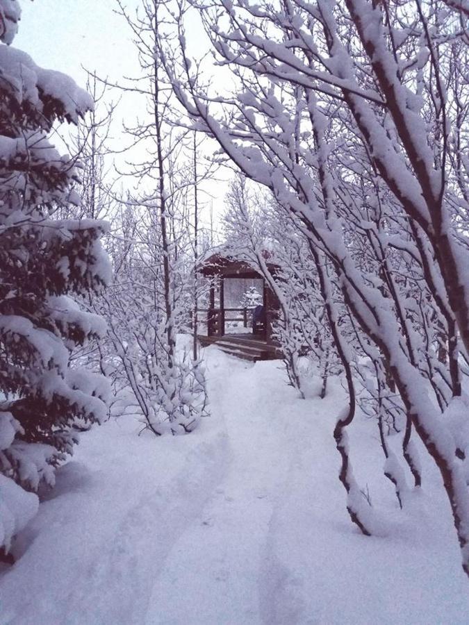 Bakkakot 1 - Cozy Cabins In The Woods Akureyri Kültér fotó