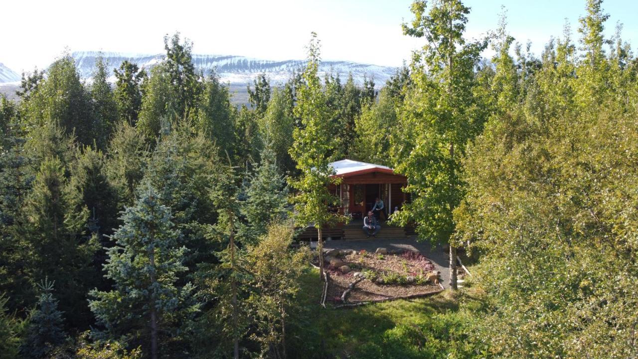 Bakkakot 1 - Cozy Cabins In The Woods Akureyri Kültér fotó