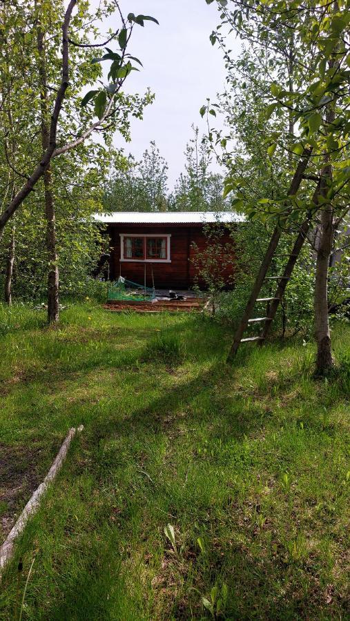 Bakkakot 1 - Cozy Cabins In The Woods Akureyri Kültér fotó